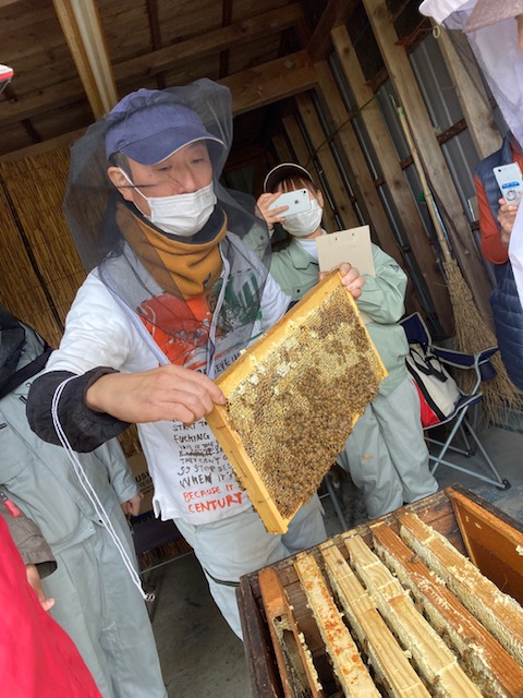 ミツバチがぎっしりと絡んだ板を取り出している男性の写真