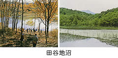 葉が枯れ落ちた木の奥に池沼が見える写真(左)、奥に森林に覆われた山地が見える池沼の写真(右)