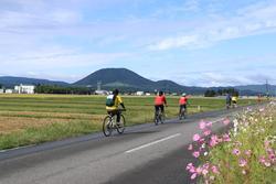 花咲く自然の道を自転車で走る人達の写真