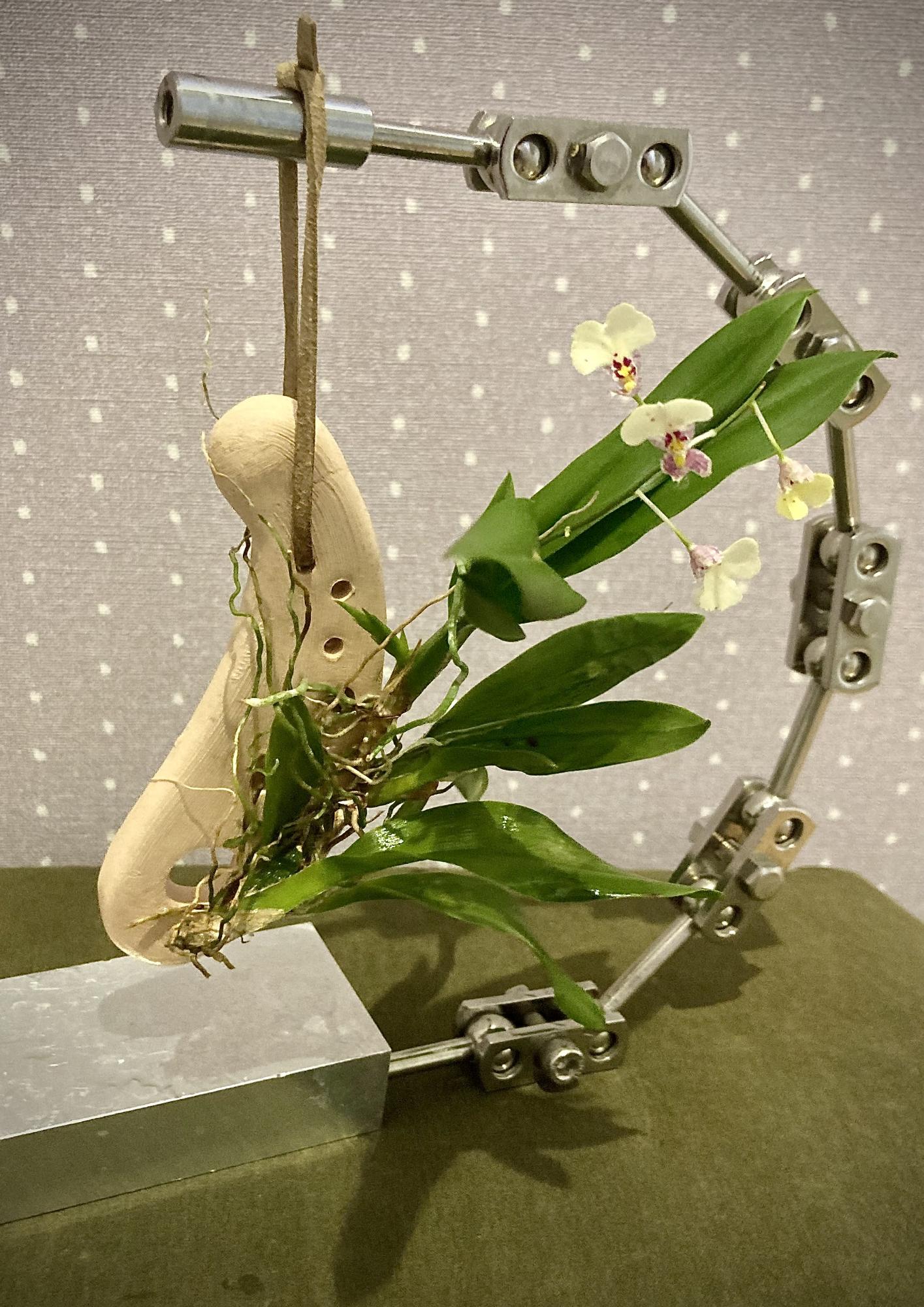 作品1