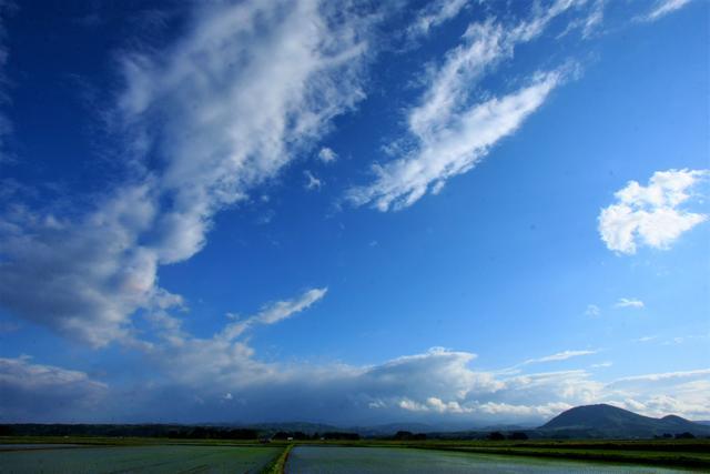 青空の下に、水が張られた田んぼが広がっている写真