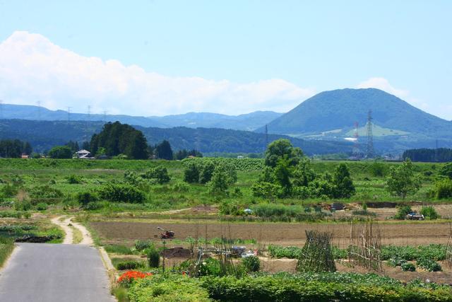 緑の山々を背に、様々な作物が育てられている畑が広がっている写真