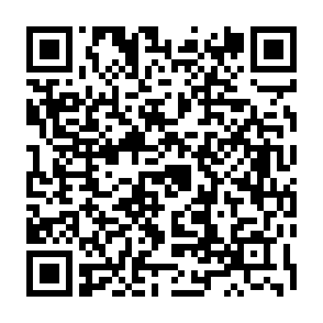 qr2025-2