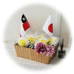 花やぬいぐるみが入っているカゴから、日本とチリの国旗が立っている写真