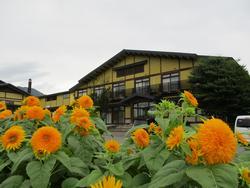 曇り空の下、手前にオレンジ色の花と奥に建物を撮影した写真