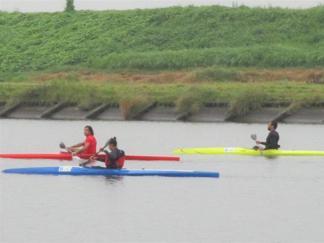 三台のカヌーが、連なるように川を進んでいる写真