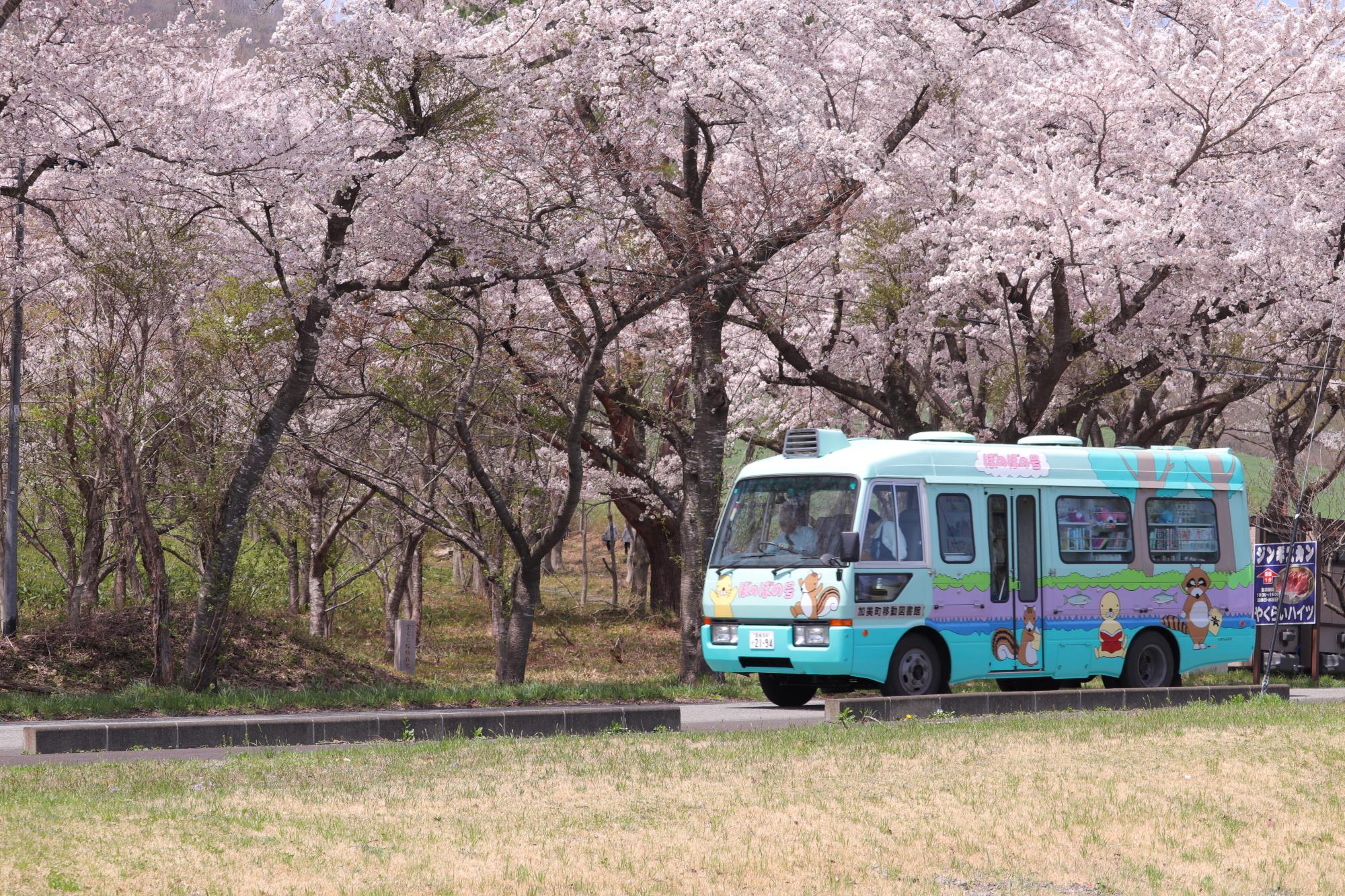 2025年4月おのだ園とぼのぼの号でお花見かい、走るぼのぼの号