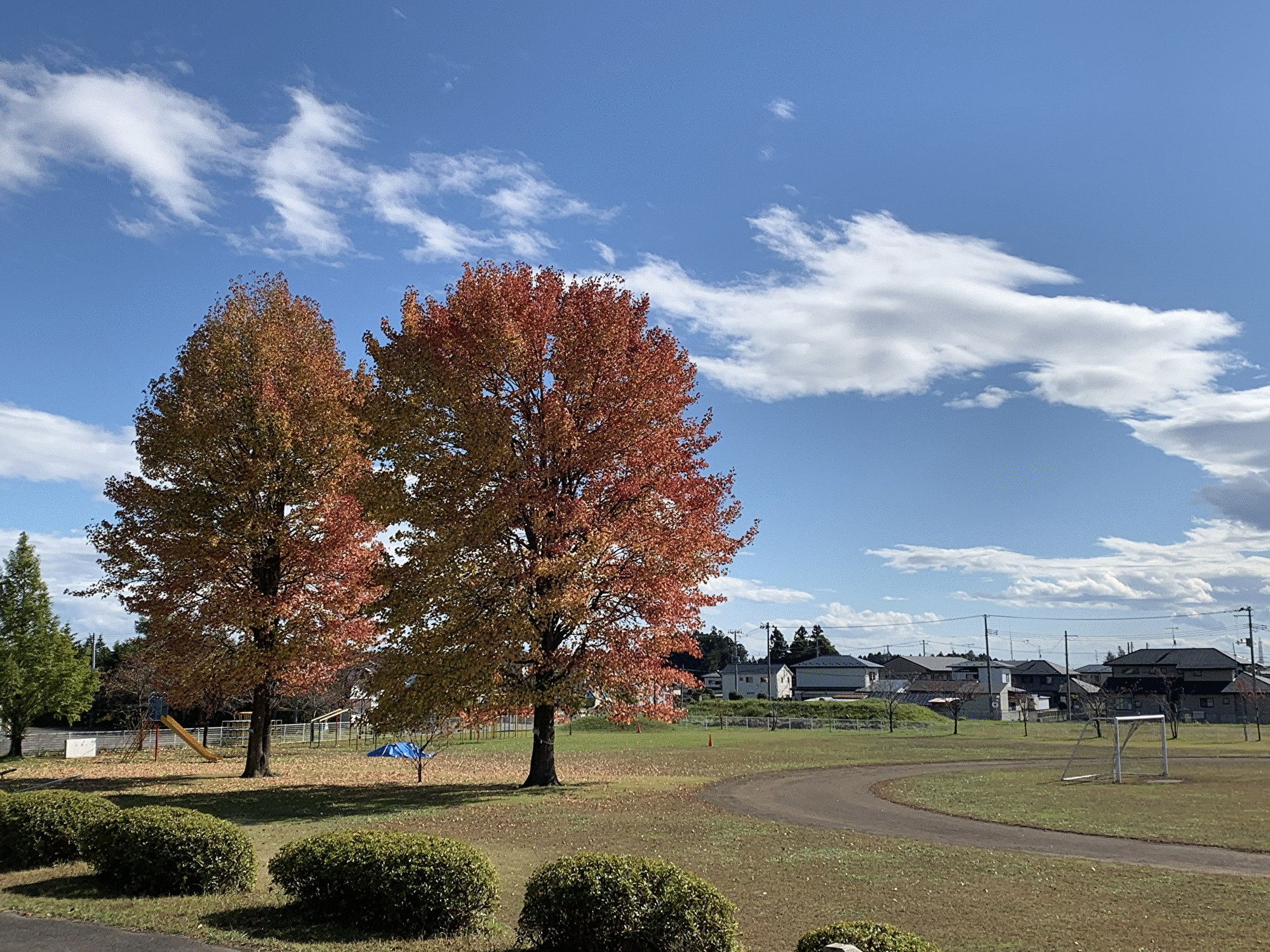 快晴の空と紅葉した木、広い校庭を映した写真
