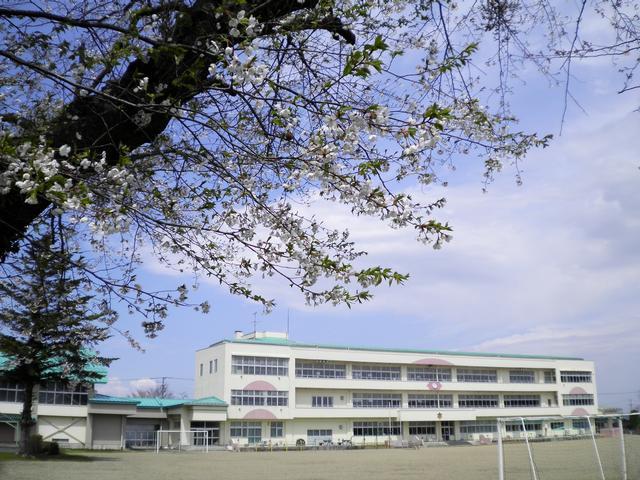 桜の木の花と空をバックに西小野田小学校の校舎と校庭が写っている写真