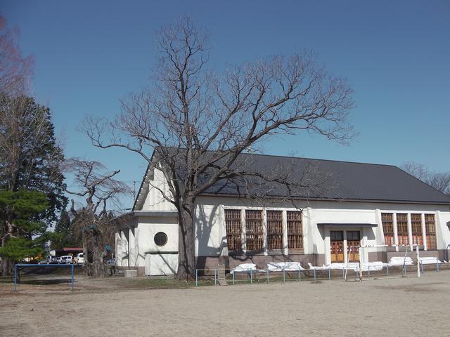 青い空と学校の校舎、落葉して枝が見えている樹木の写真