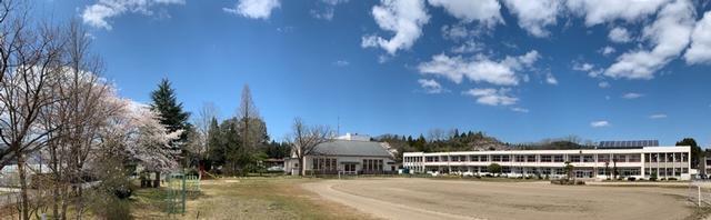 青空と校舎、桜の木と校庭を望むパノラマ写真