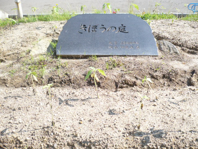oka